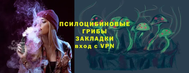 Псилоцибиновые грибы Psilocybe  мега онион  Александровск 